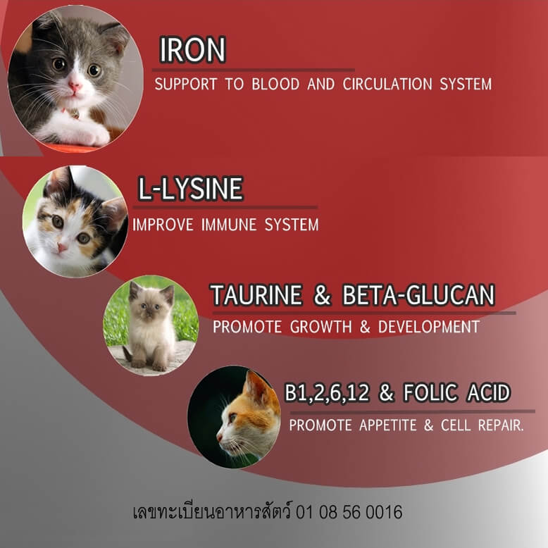 อาหารเสริม สำหรับแมว ไอโรซีนแคท เจลบำรุงเลือด 30 กรัม